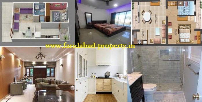 1 BHK Flats in Faridabad For Sale